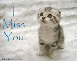 latest HD Miss You images photos wallpepar free download 4