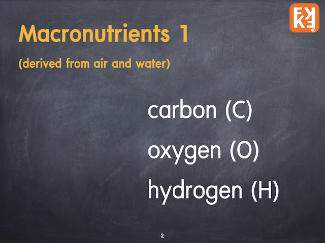 Macro nutrients carbon oxygen hydrogen