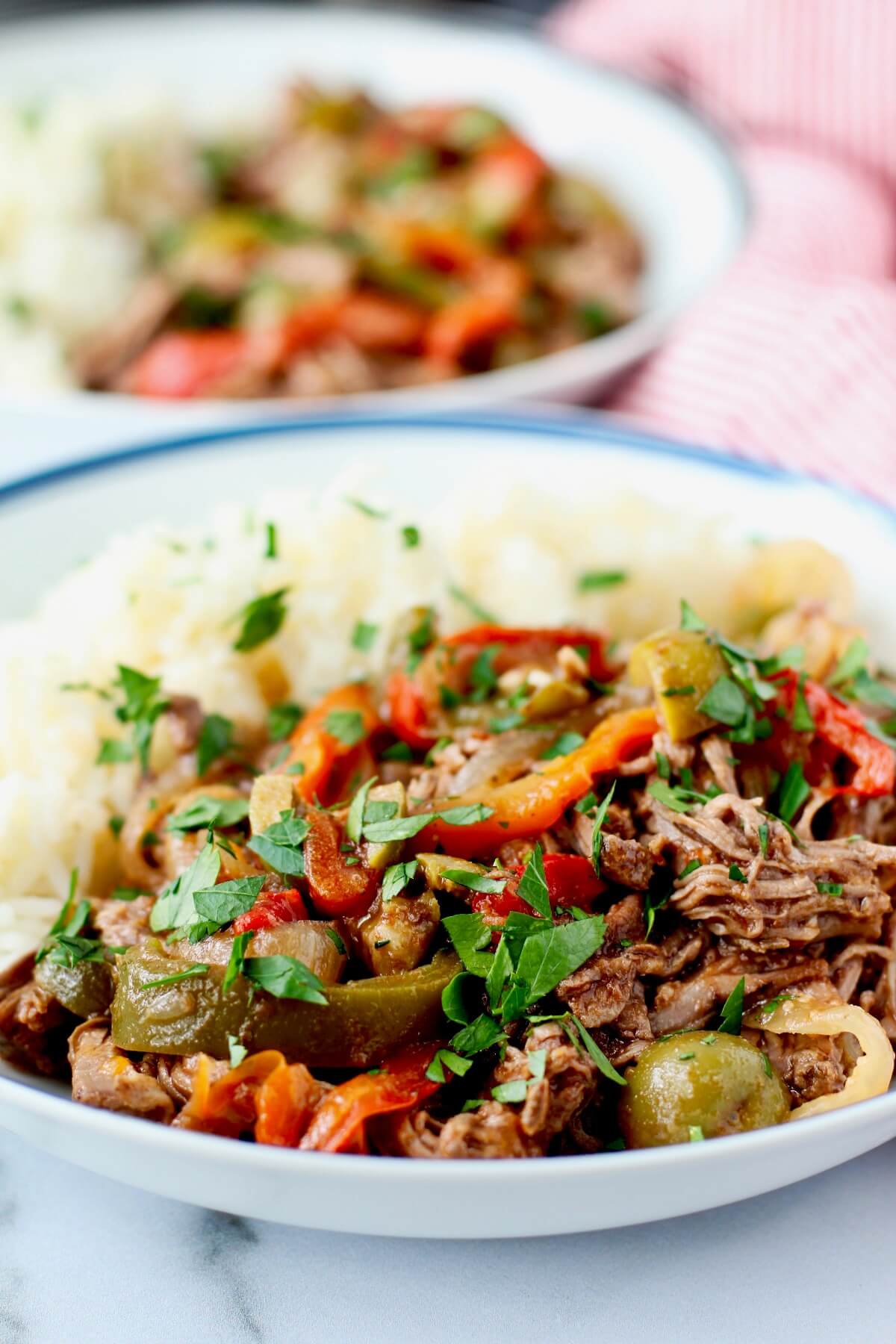 Ropa vieja with white rice