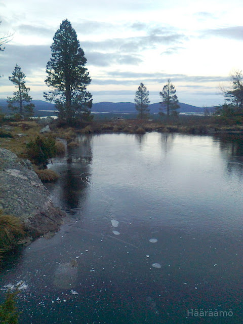 Särkitunturi