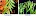 Momod ads.id
