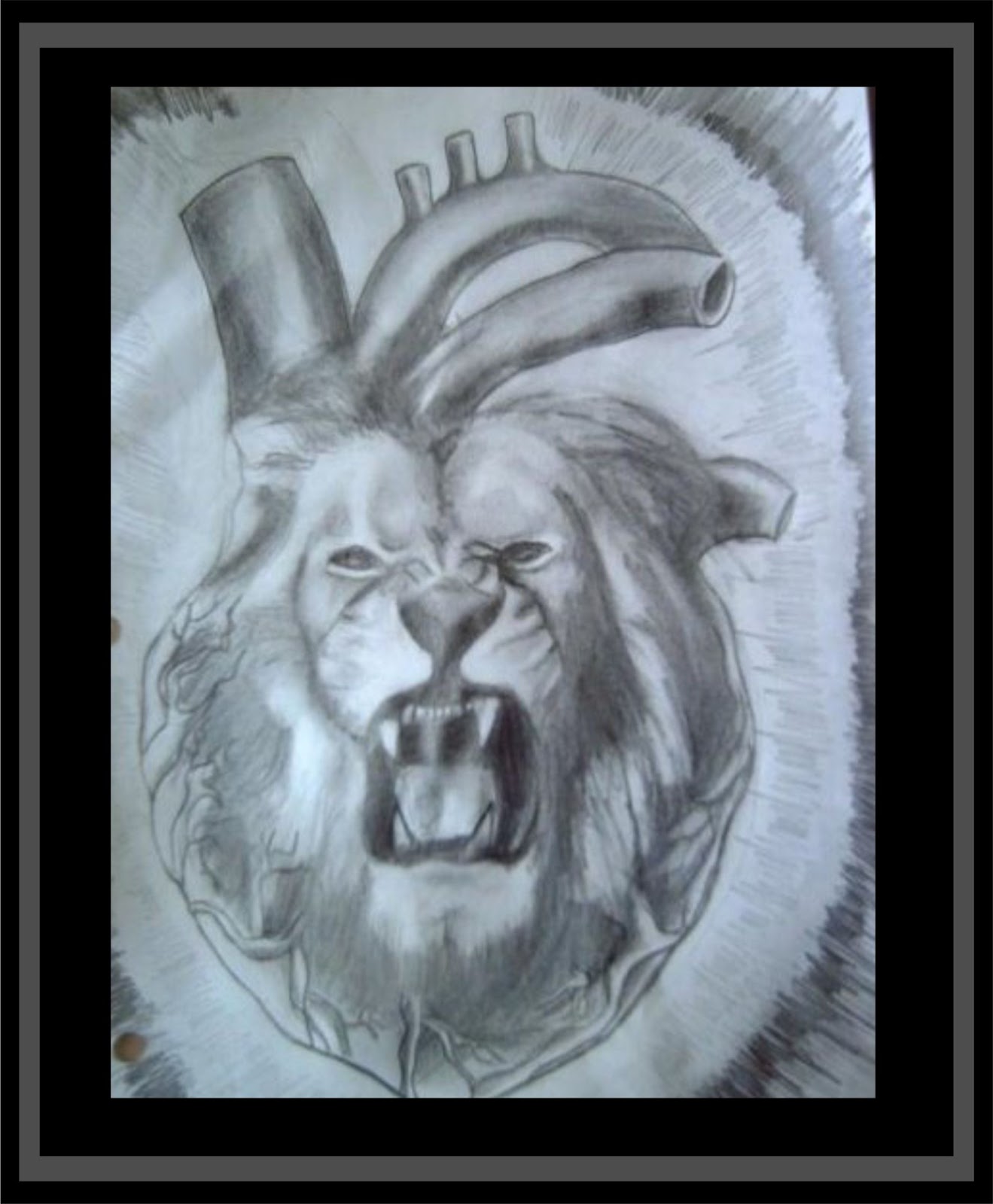 drawings tumblr lion Drawings Meaningful Gallery For >