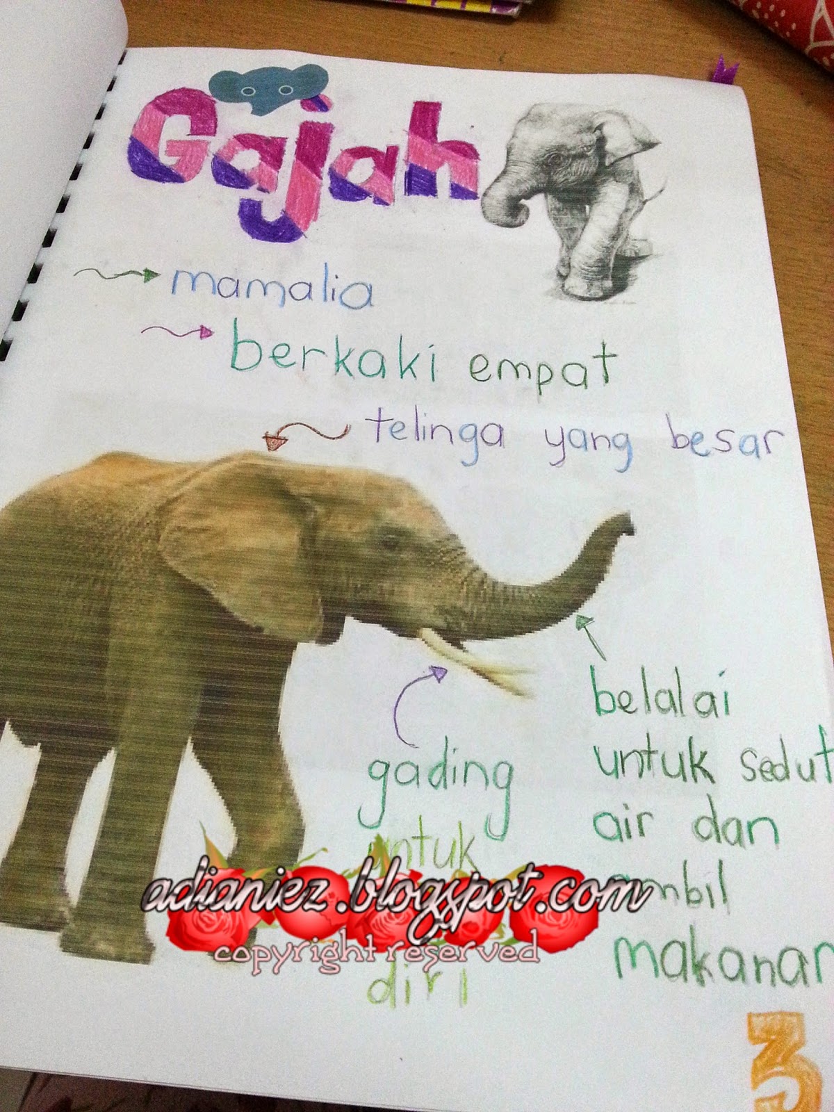 MARI KITA BUAT BUKU SKRAP ~ HAIWAN :-) PROJEK IBU & ANAK 