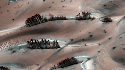 This is an image of a trees on Mars in NASA images.