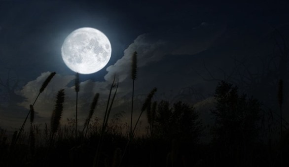 Luna