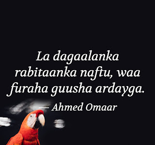 Ahmed Omaar motivational quotes, Somali quotes