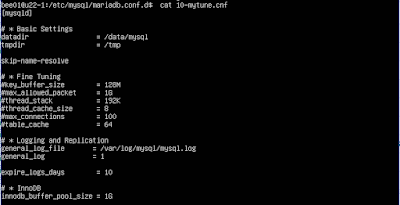 nano /etc/mysql/mariadb.conf.d/10-mytune.cnf
