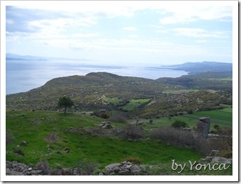 SAM_3921_k