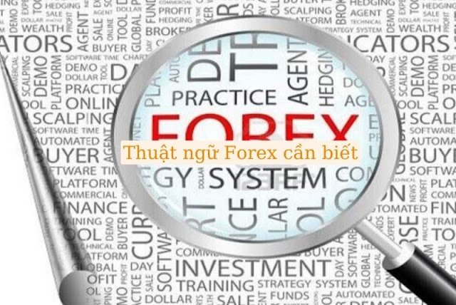 Những thuật ngữ Forex cần biết