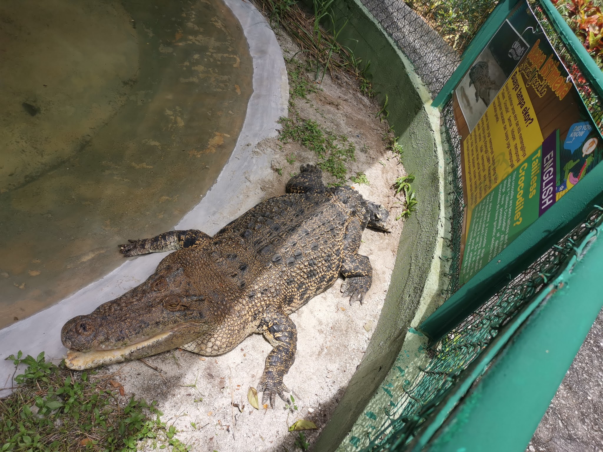 APA YANG MENARIK DI PULAU LANGKAWI SEKARANG? ANTARA LOKASI DI LANGKAWI YANG BOLEH ANDA LAWATI SELAMA 4 HARI 3 MALAM