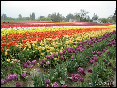 13-04-19-11-29-08H