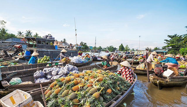 Chợ nổi Cái Răng – Nét văn hóa độc đáo miền sông nước