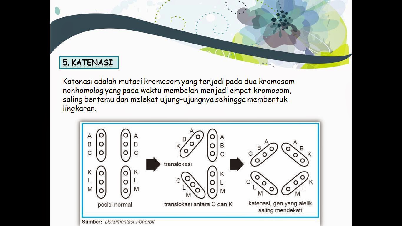 CONTOH PRESENTASI TENTANG MUTASI KROMOSOM DENGAN 