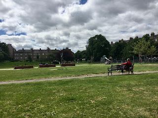 A man on a bench in the middle of a park.