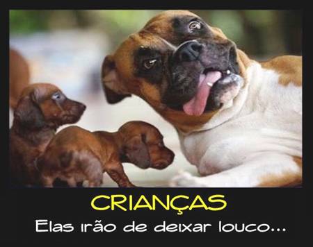 Desmotivacionais ,Humor ,Cachorros , OGatoNinja.blogspot.com