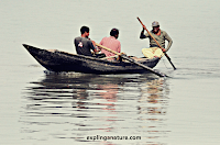 Sundarban National Park