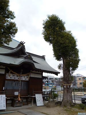 鼻川神社ご神木