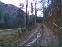 DSCN8300
