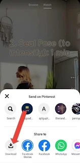 Pinterest Video Downloader APK