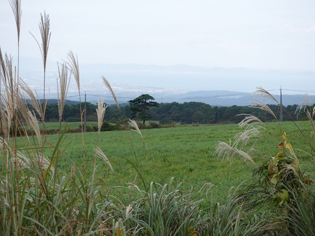 大山牧場