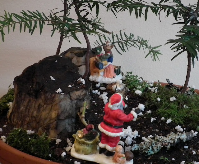 Santa Claus is coming to town - potted scenery 