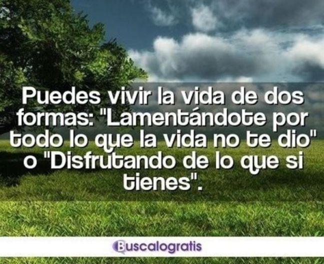 FRASES de VIVIR la VIDA Buscalogratis 