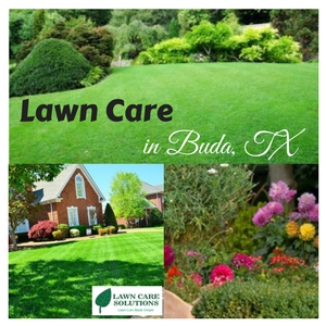 leading lawn care company in Texas