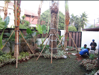 Galeri Taman - Tukang Taman Surabaya 05