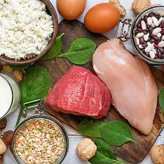 Protein Enzymes