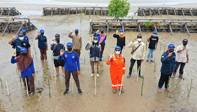 pertamina-hulu-kalimantan-timur-tanam-10000-mangrove-di-pantai-kersik-marangkayu-untuk-mengembangkan-ekowisata-lokal