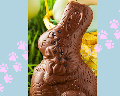 The Top Easter Danger to Dogs   Chocolate is poisonous to dogs, Chocolate is toxic to dogs