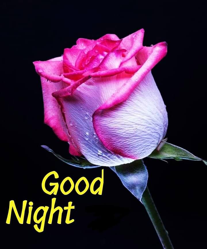 [ Latest Collection ] Good Night Images Beautiful, Pics, Photos ...