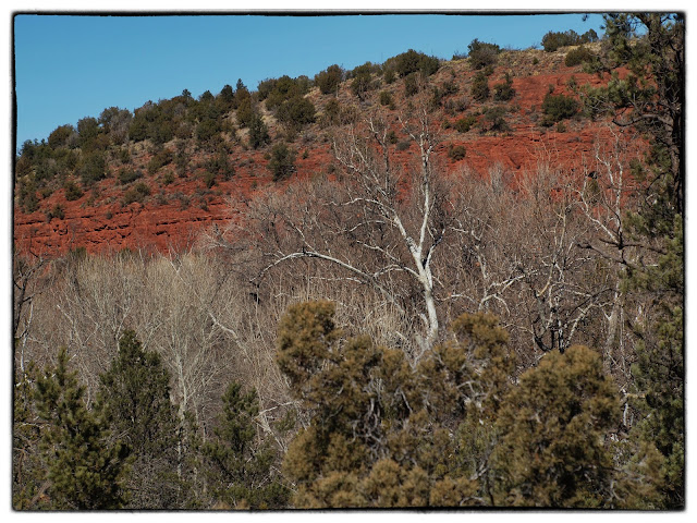 Baldwin Trail in Sedona Arizona Winds through Red Rocks near Oak Creek.