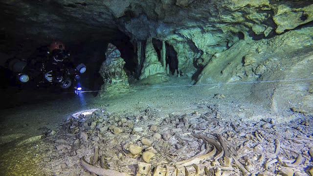 Ancient human remains, Ice Age animal bones found in giant Mexican cave