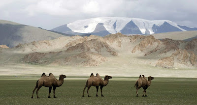 43 Fakta Menarik Negara Mongolia yang Wajib Anda Tahu