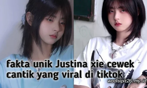 Fakta unik justina xie cewek cantik yang viral di tiktok