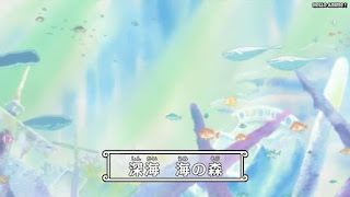 ワンピースアニメ 魚人島編 534話 | ONE PIECE Episode 534