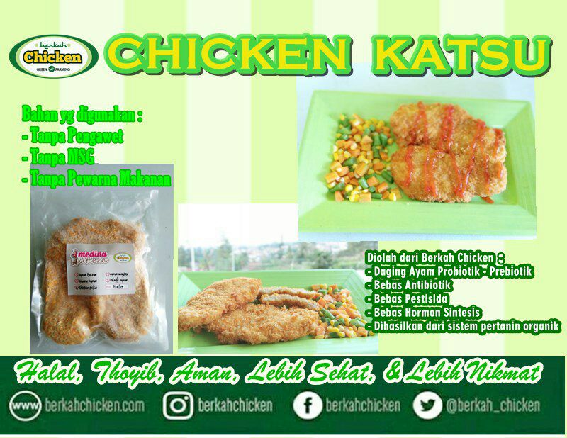 Katalog Produk Olahan Ayam Frozen Berkah Chicken