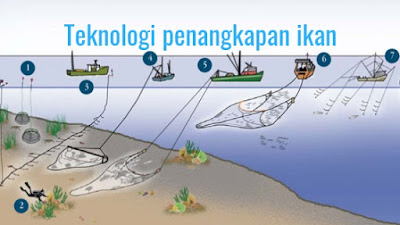 Teknologi Penangkapan Ikan - Perikananku ID