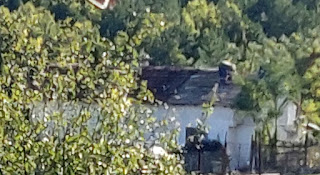 Bekir on the roof across the village