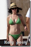 katy perry bikini (3)[12]