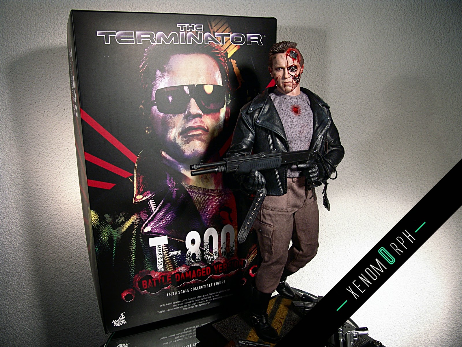 Hot Toys Terminator 1 - T800 BD / police shootout 1/6 MMS238 video and  photo review