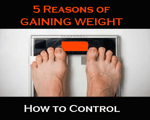 5 Reasons Of Gaining Weight, Which factors are helping in gaining fat daily, how to save ourselves from fat.