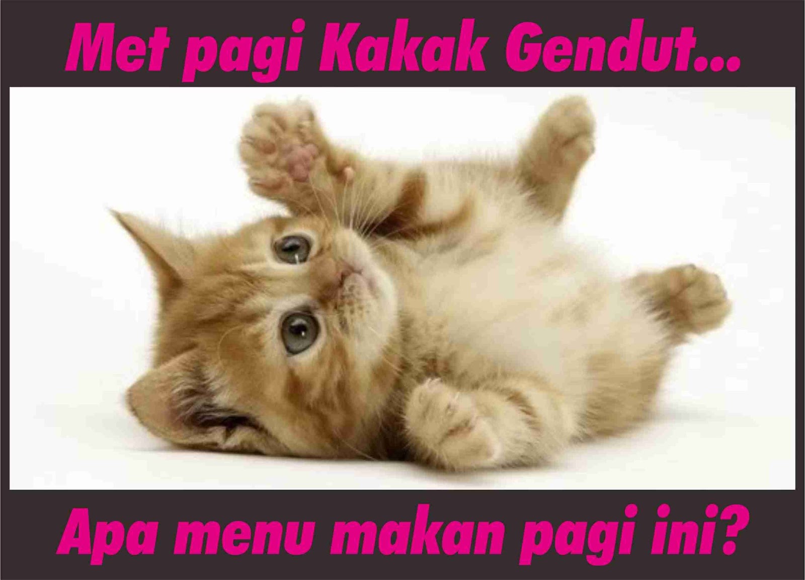 45 Meme Lucu Orang Gemuk Keren Dan Terbaru Kumpulan Gambar Meme Lucu