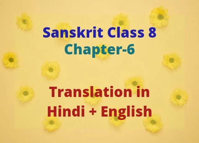 Sanskrit Class 8 Chapter 6 गृहं शून्यं  सुतां विना  Translations in Hindi