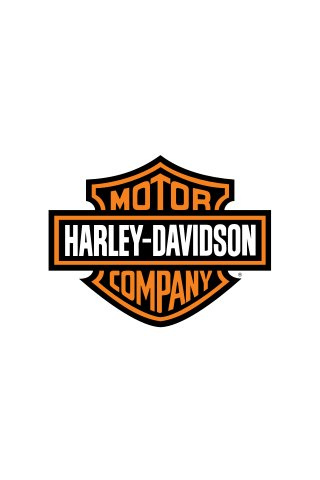  Blank  Harley  Davidson  Logo  White Gold