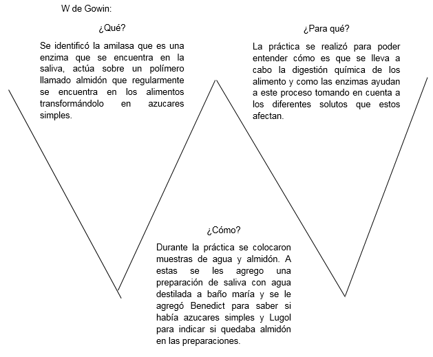 Miguel Gonzalez Bio 518 Practica 2 Accion De La Amilasa Sobre