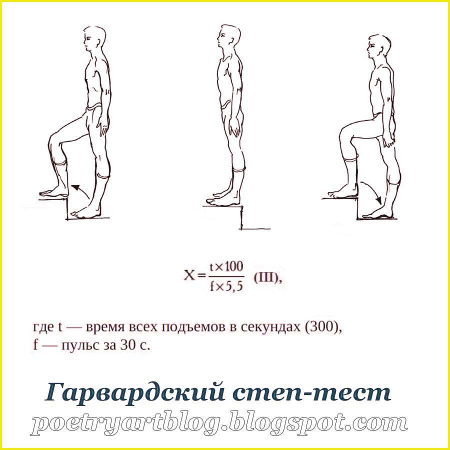 Как определить уровень здоровья: Гарвардский степ-тест