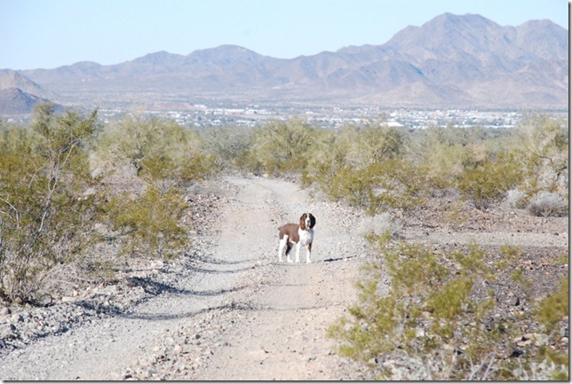 01-14-13 A Quartzsite 005