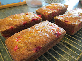 Gluten Free Cranberry Pumpkin Bread